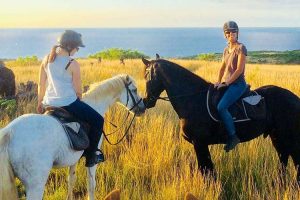 Estábulo da Savana