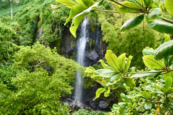Enseada Cascades