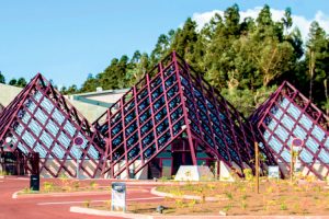 ciudad volcán